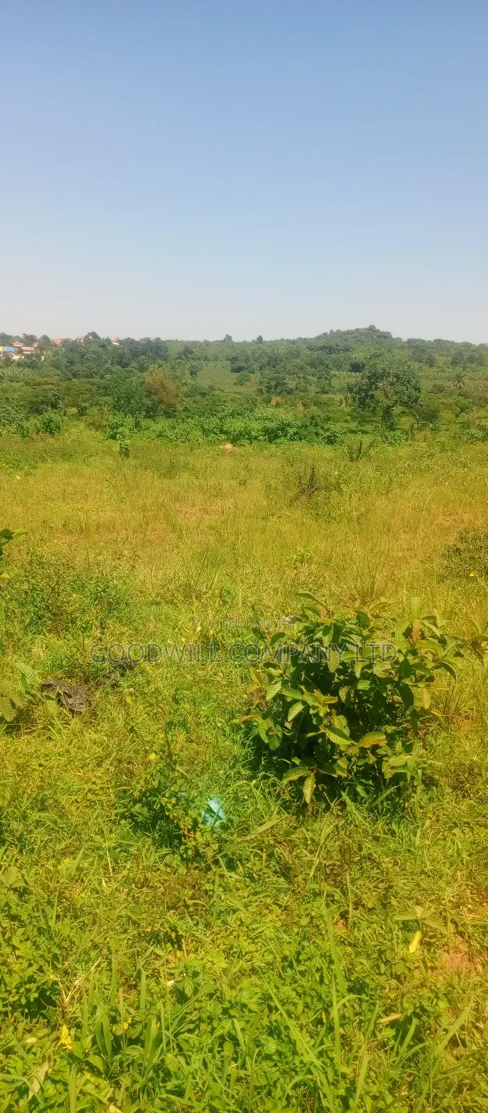4 Acres of Commercial Land on Gayaza-Kayunga Tarmac Road in Nakasaja in Central Division