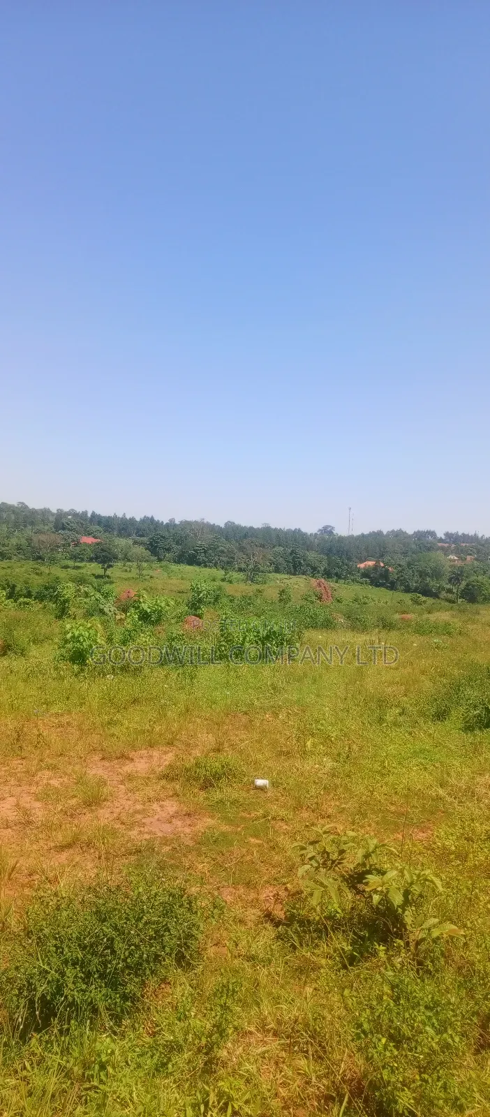 4 Acres of Commercial Land on Gayaza-Kayunga Tarmac Road in Nakasaja in Central Division