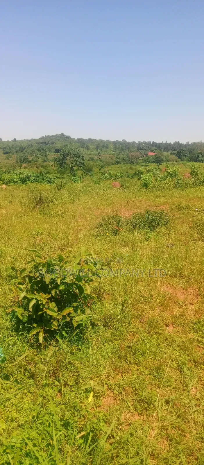 4 Acres of Commercial Land on Gayaza-Kayunga Tarmac Road in Nakasaja in Central Division