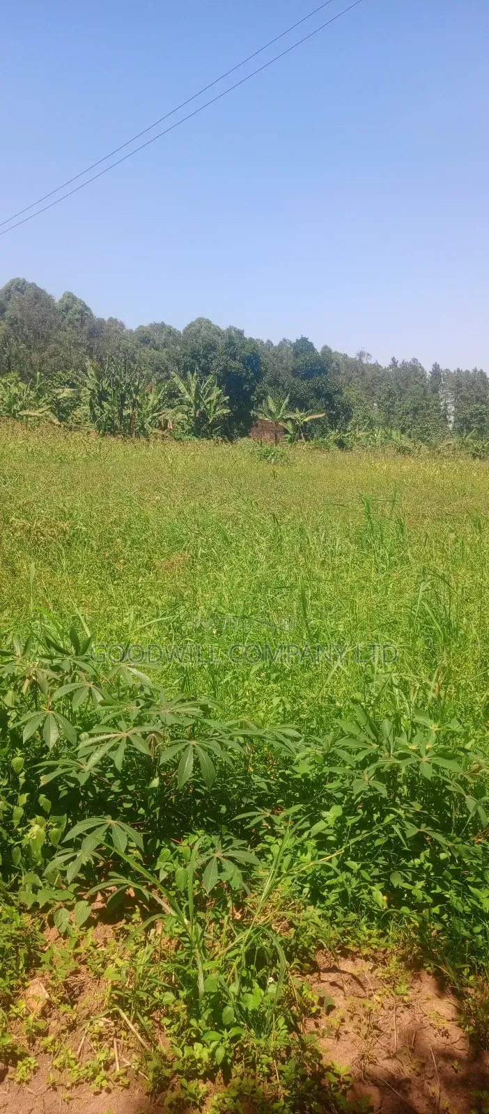 2 Acres of Land in Kyabakade Namengo in Central Division