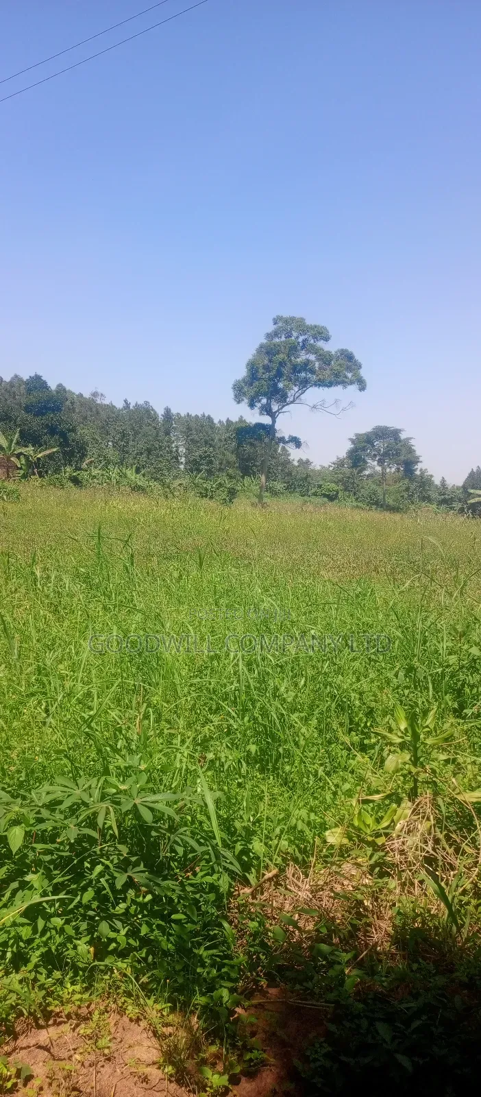 2 Acres of Land in Kyabakade Namengo in Central Division