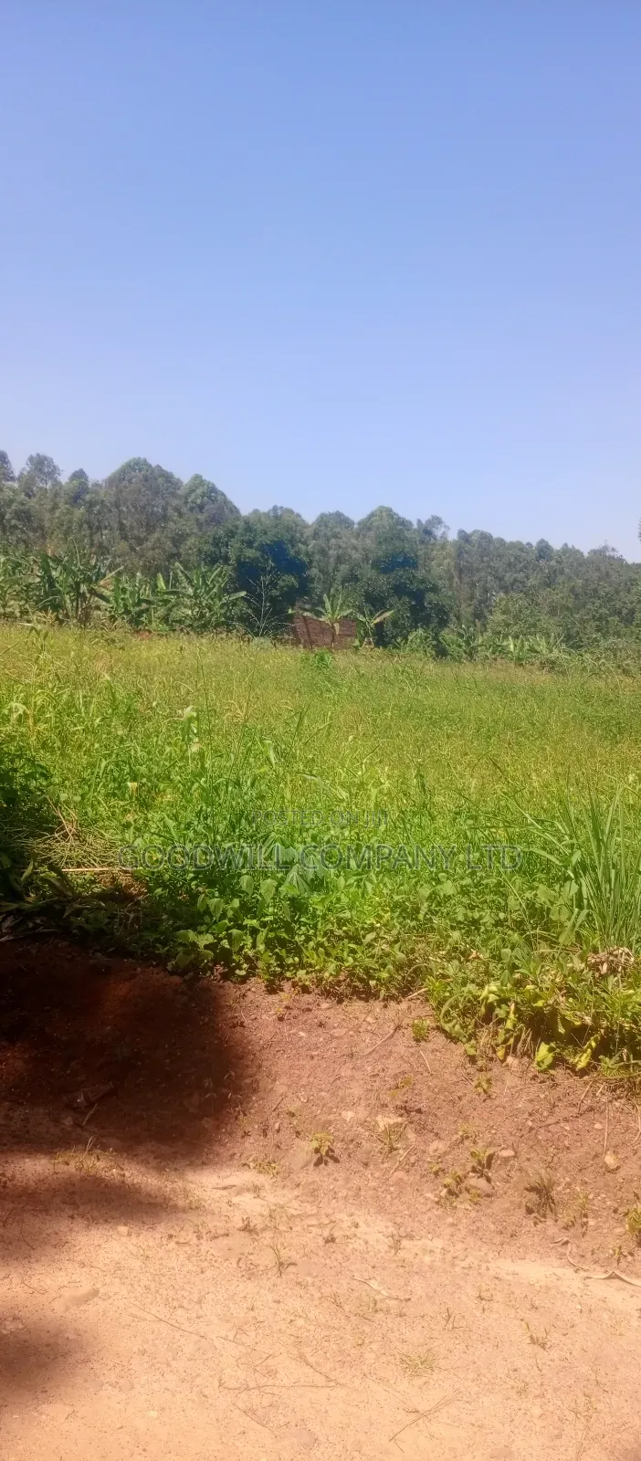 2 Acres of Land in Kyabakade Namengo in Central Division