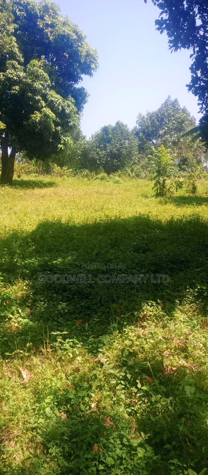 4 Acres of Land in Nakasaja Namengo Village in Central Division