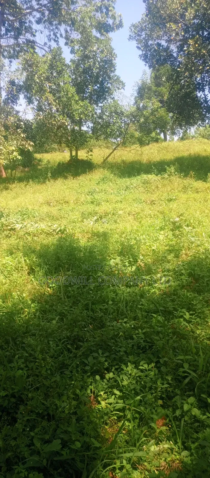 4 Acres of Land in Nakasaja Namengo Village in Central Division
