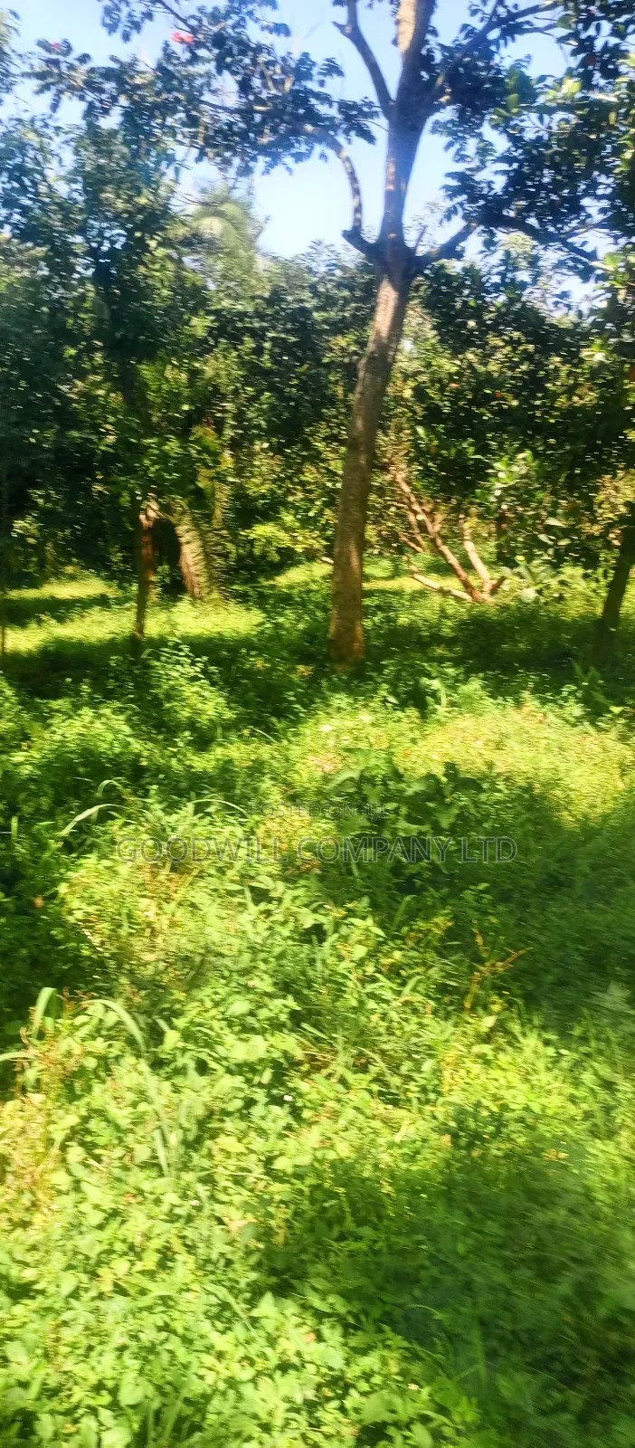 4 Acres of Land in Nakasaja Namengo Village in Central Division