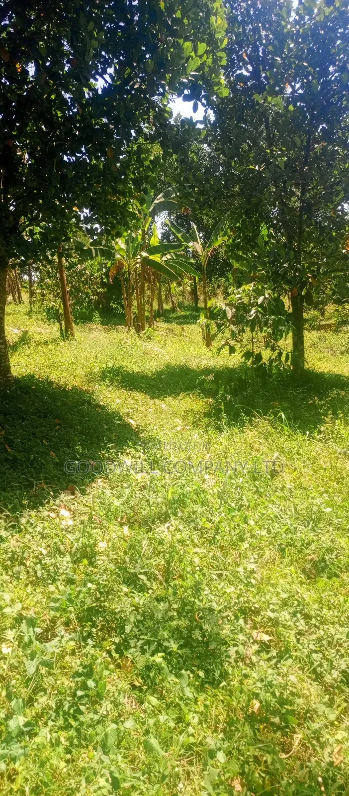 4 Acres of Land in Nakasaja Namengo Village in Central Division