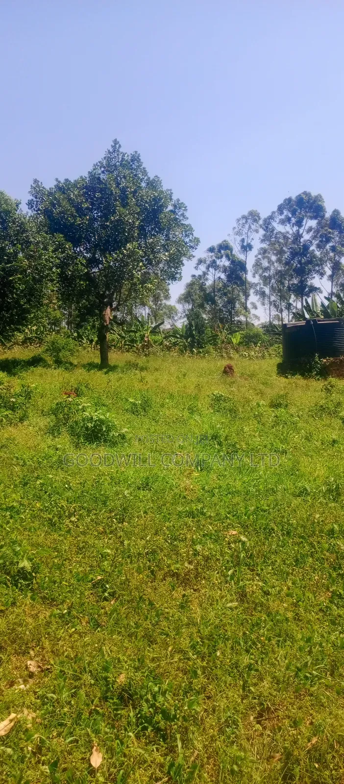 4 Acres of Land in Nakasaja Namengo Village in Central Division