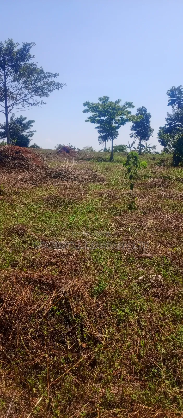 50*100 Kabaka 3plots in Kyabakade in Central Division
