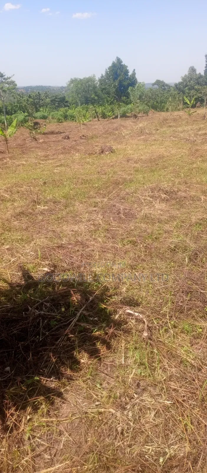 50*100 Kabaka 3plots in Kyabakade in Central Division