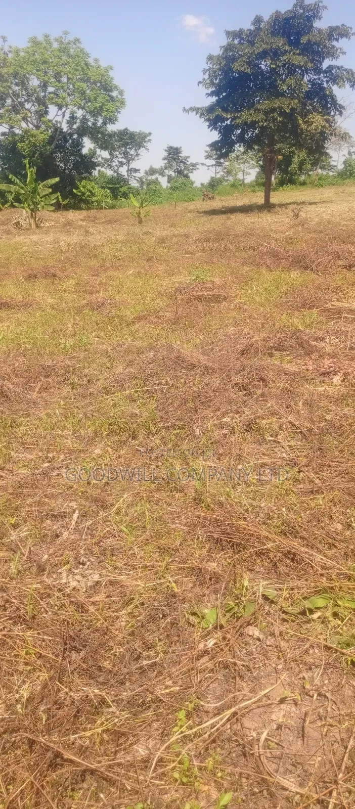 50*100 Kabaka 3plots in Kyabakade in Central Division