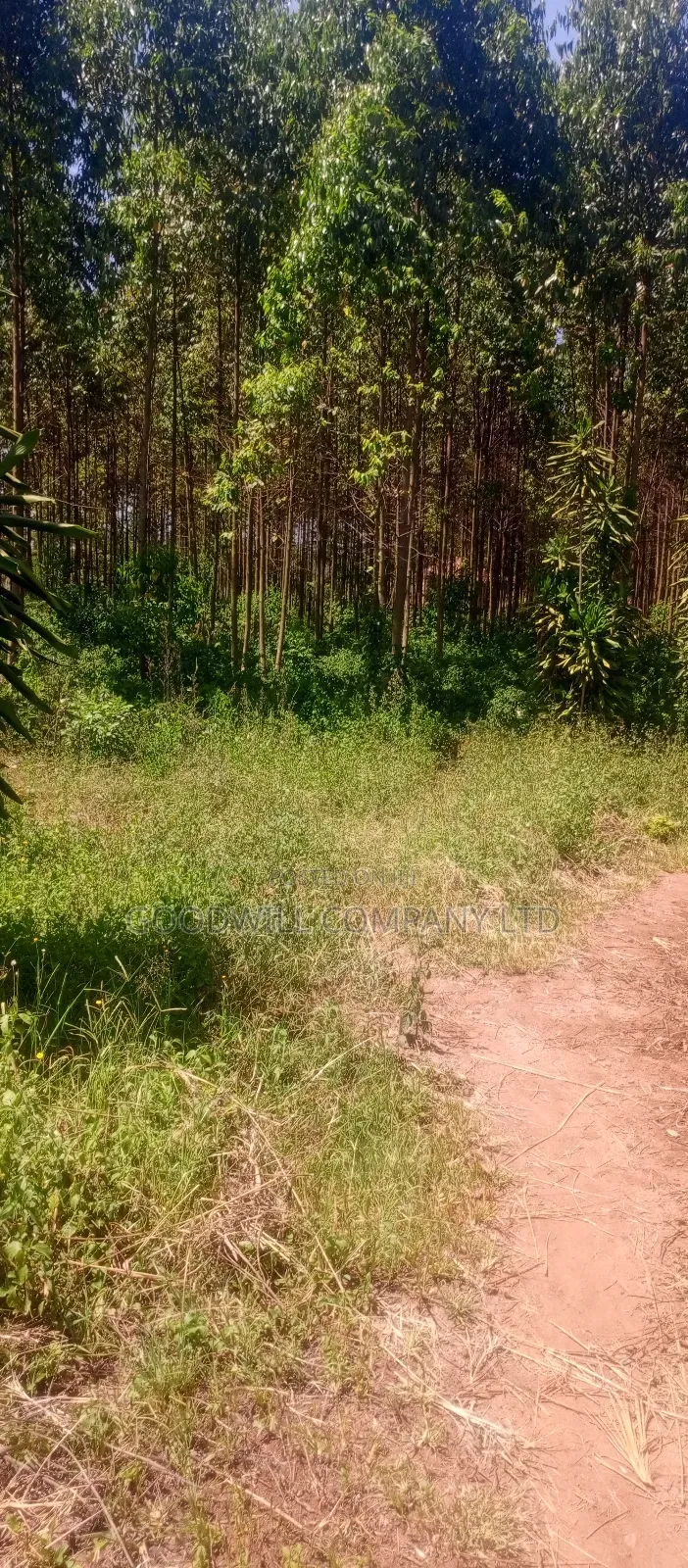 50*100 Plots in Namengo Kyabakade in Central Division