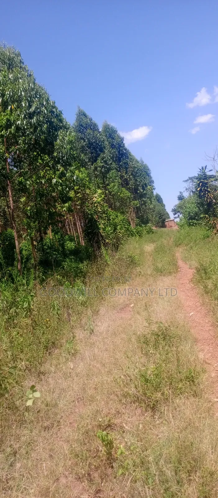 50*100 Plots in Namengo Kyabakade in Central Division
