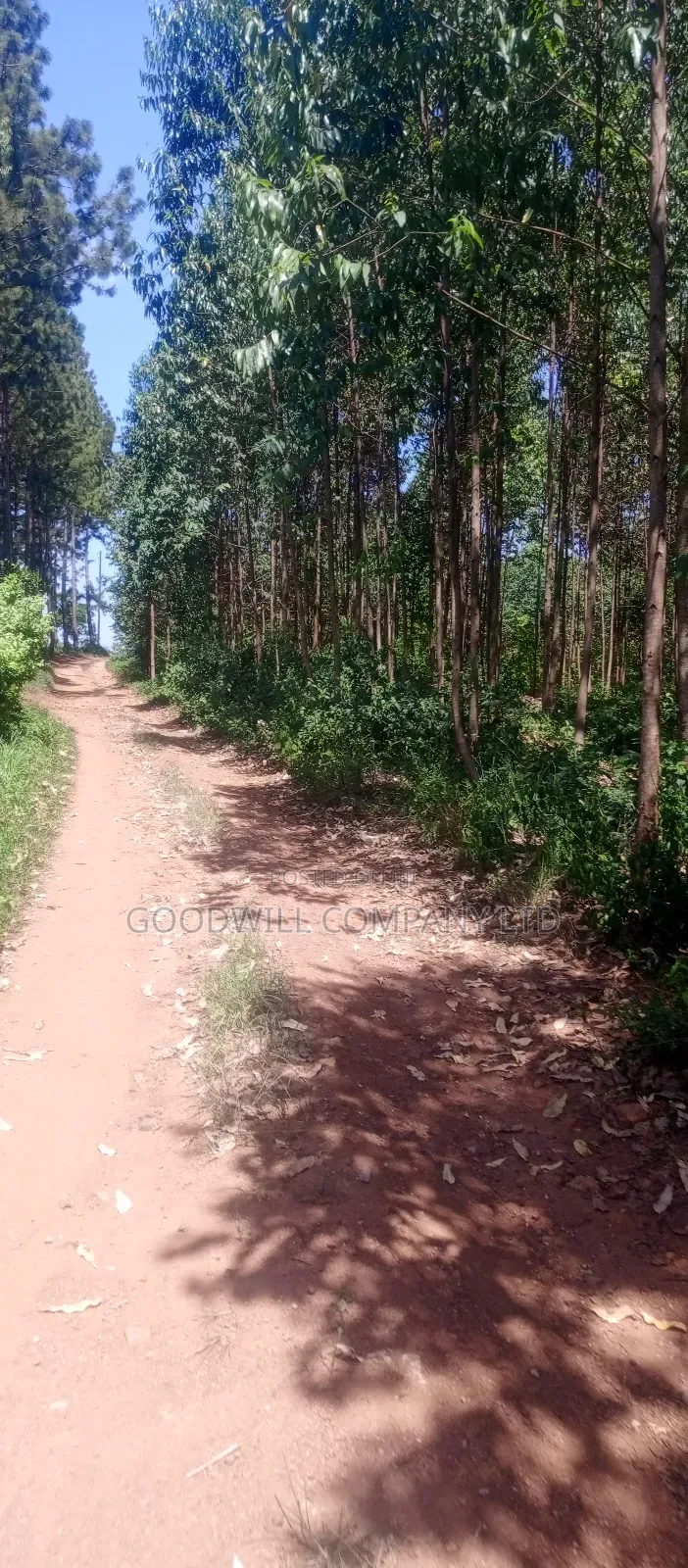 50*100 Plots in Namengo Kyabakade in Central Division