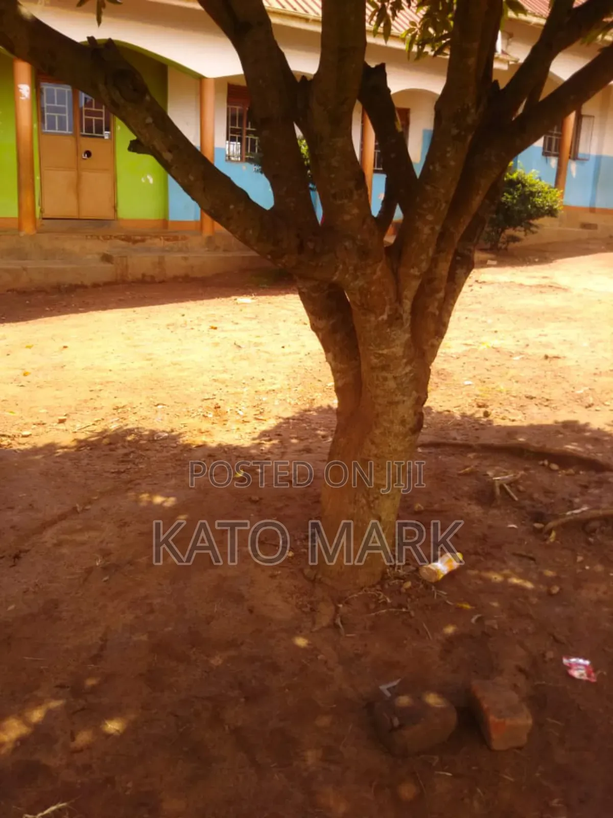 Primary School for Sale Located at Mukono Kisoga in Mukono TC