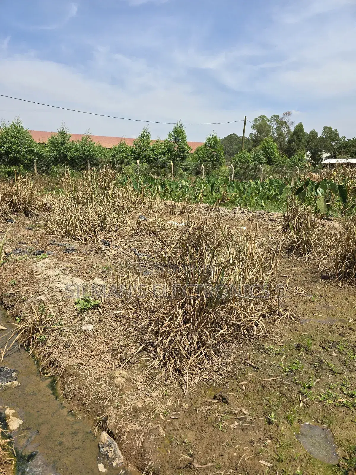 50 by 30 Ft Plot for Sale in Kawanda Near Road in Central Division