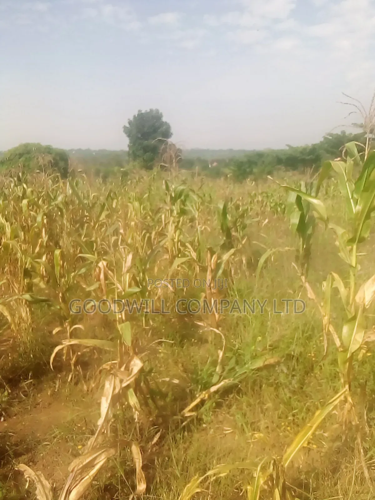 10 Acres of Land in Luwunga Kiwenda Gayaza Road in Central Division
