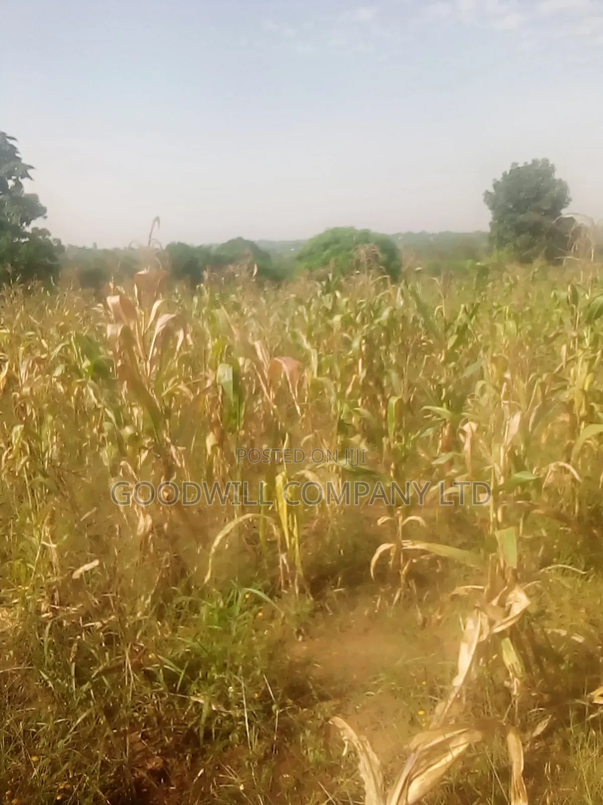 10 Acres of Land in Luwunga Kiwenda Gayaza Road in Central Division