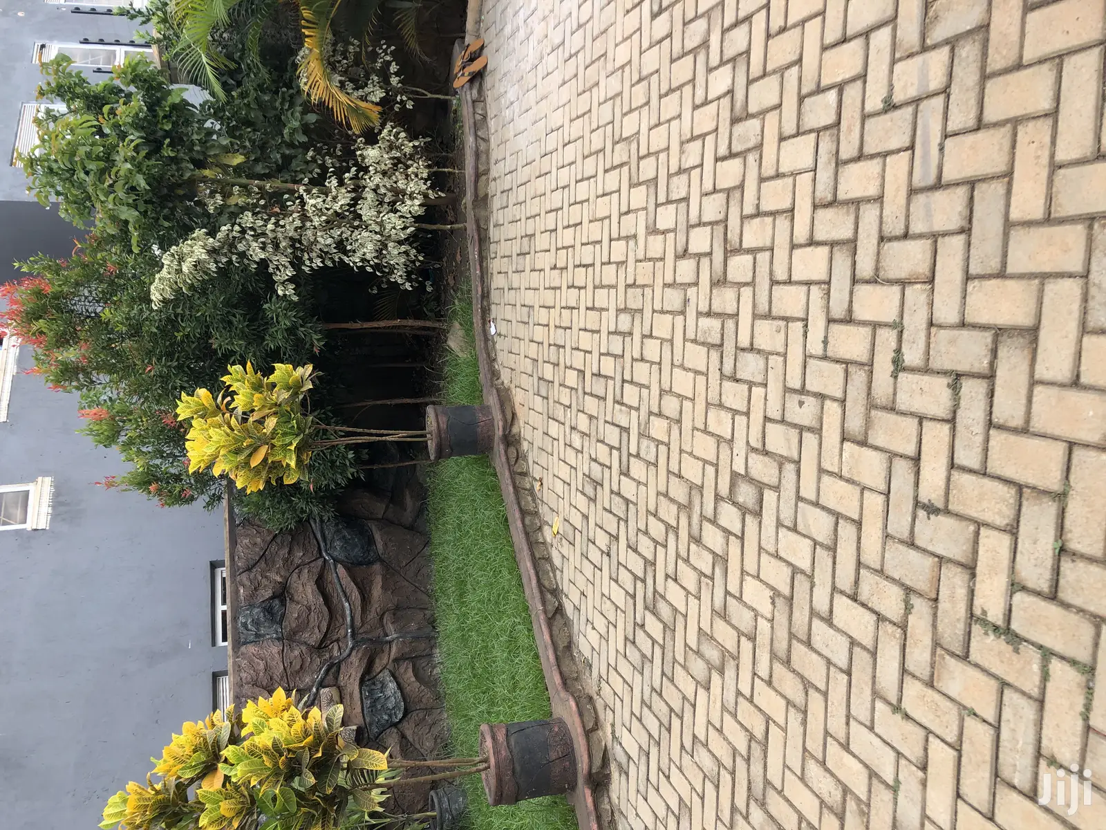 Kira Classical Beauty for Sale in Kampala
