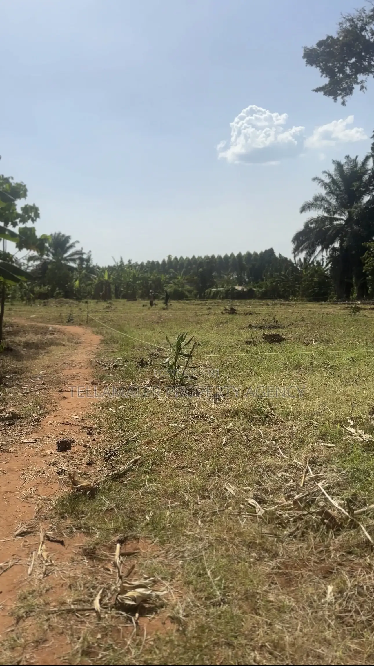 50*50ft and 50*100ft Plots at Nakifuma-Magogo for Sale in Kasawo