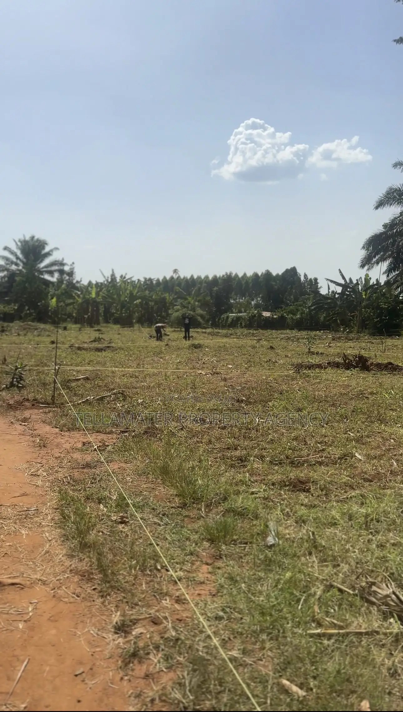 50*50ft and 50*100ft Plots at Nakifuma-Magogo for Sale in Kasawo
