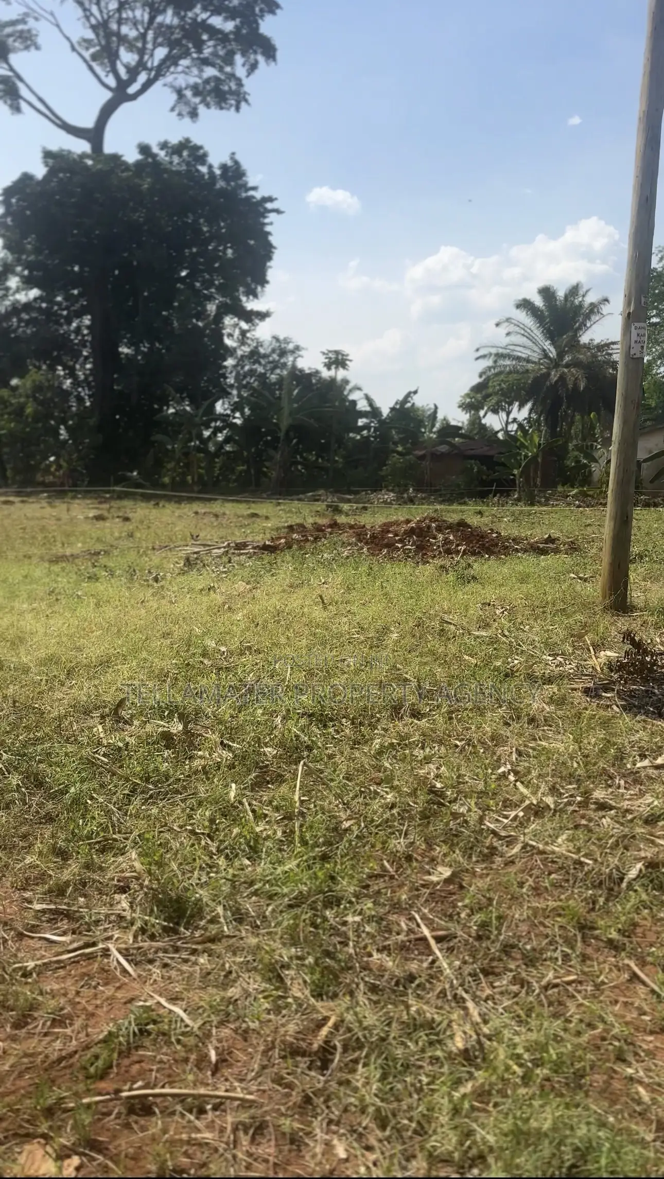 50*50ft and 50*100ft Plots at Nakifuma-Magogo for Sale in Kasawo