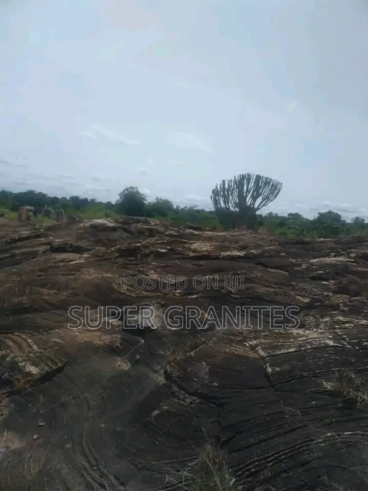 Pure Granite Rock Land in Central Division