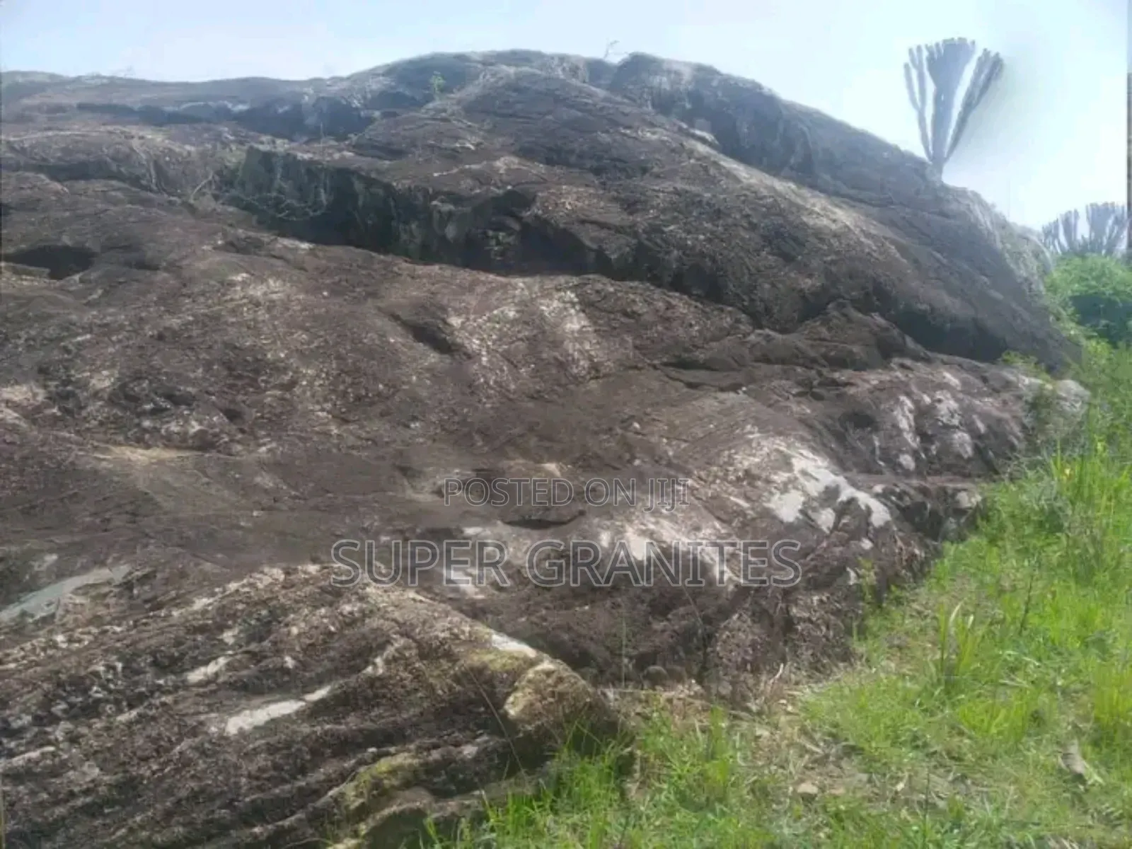 Pure Granite Rock Land in Central Division