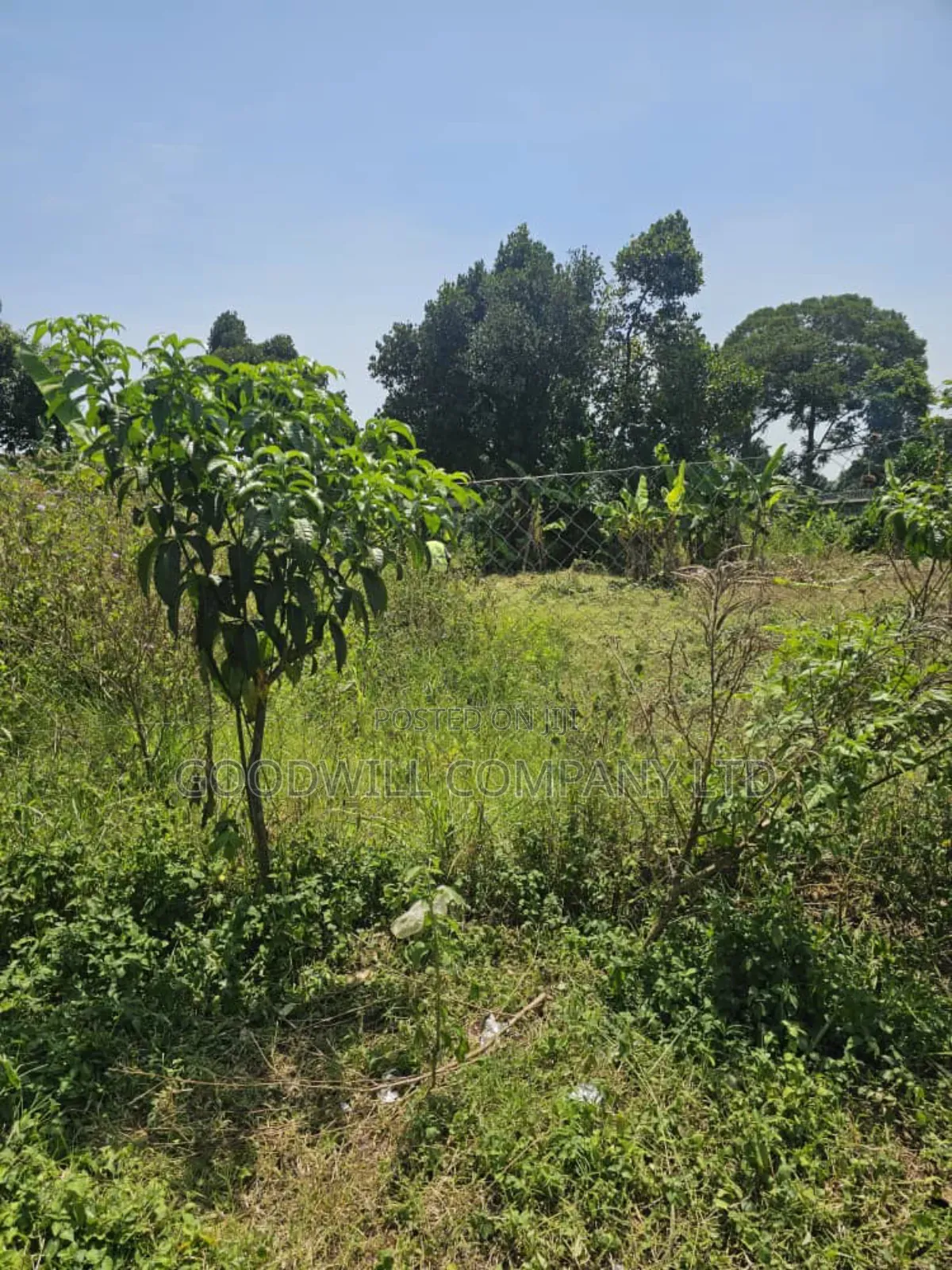 1 Acre of Land in Garuga Entebbe Road in Central Division