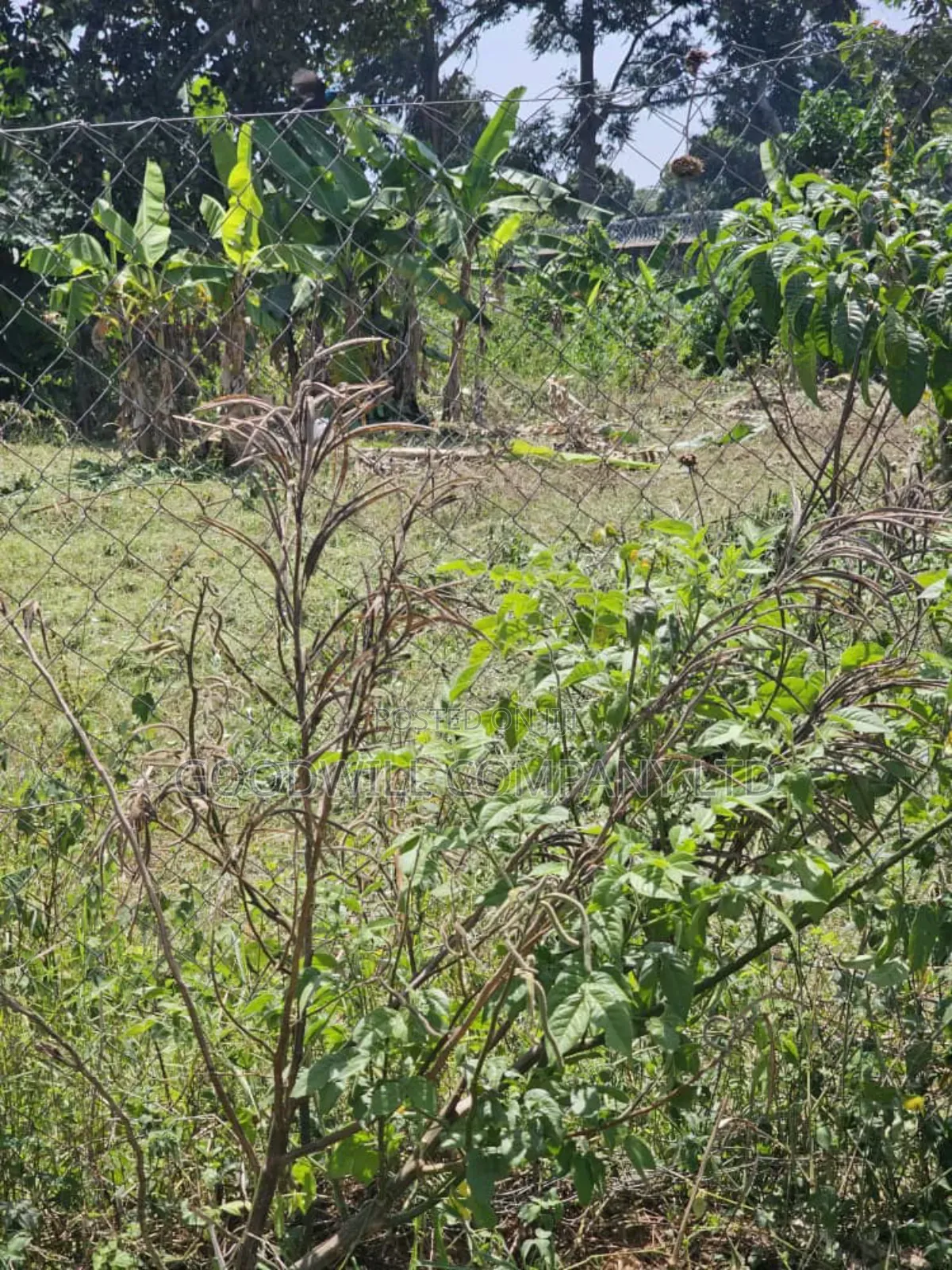 1 Acre of Land in Garuga Entebbe Road in Central Division