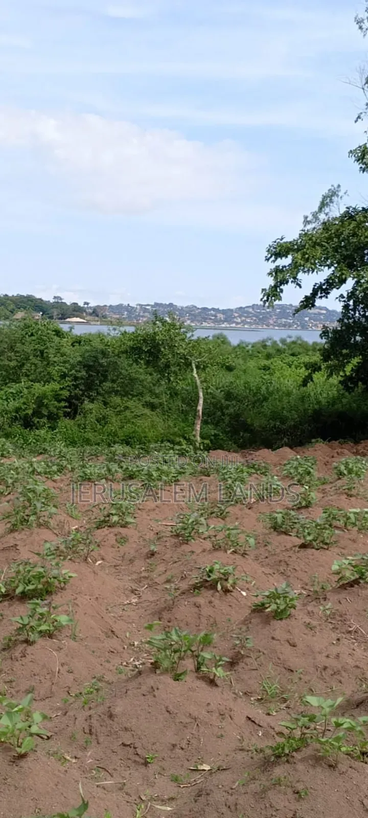 Onea Acre Lake View Entebbe Buwaya at 130m Private Milo Title Negotiab in Kasanje
