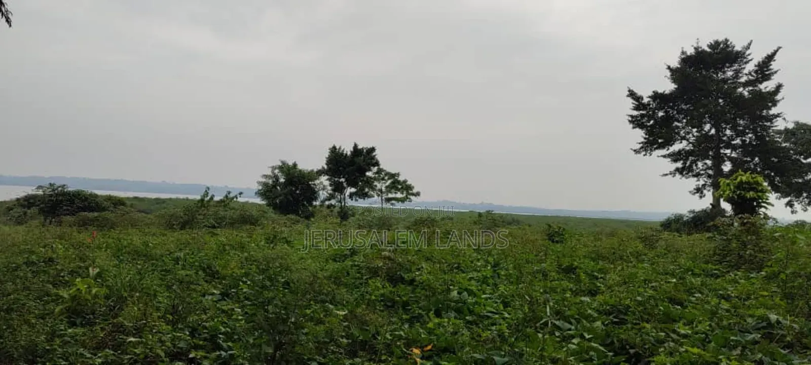 250 Decimals at 150million Ugx PWR 100decimals. Its Negotiable Titled in Kasanje