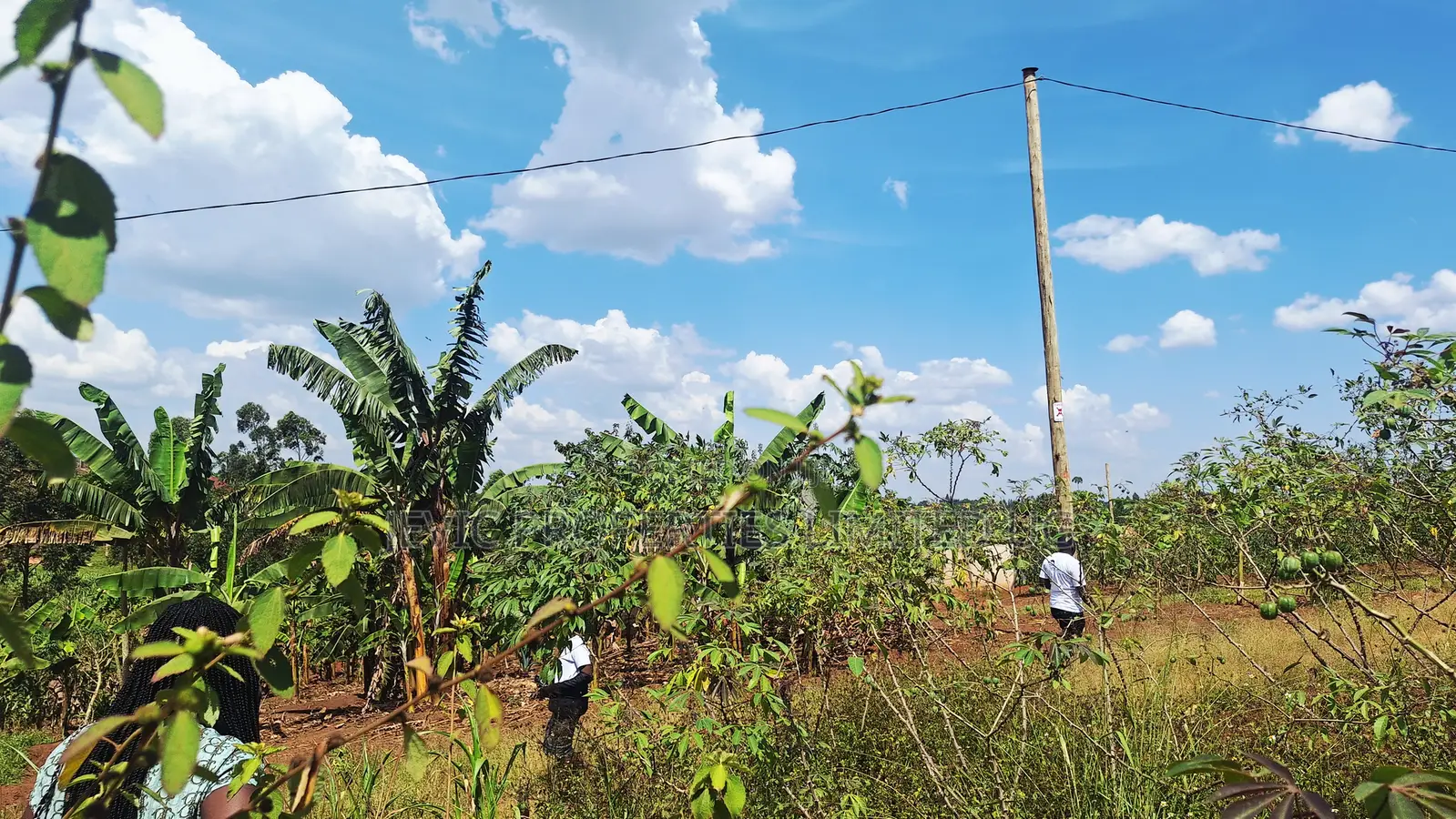 Quick Plot for Sale at Wakiso Namusera in Kakiri