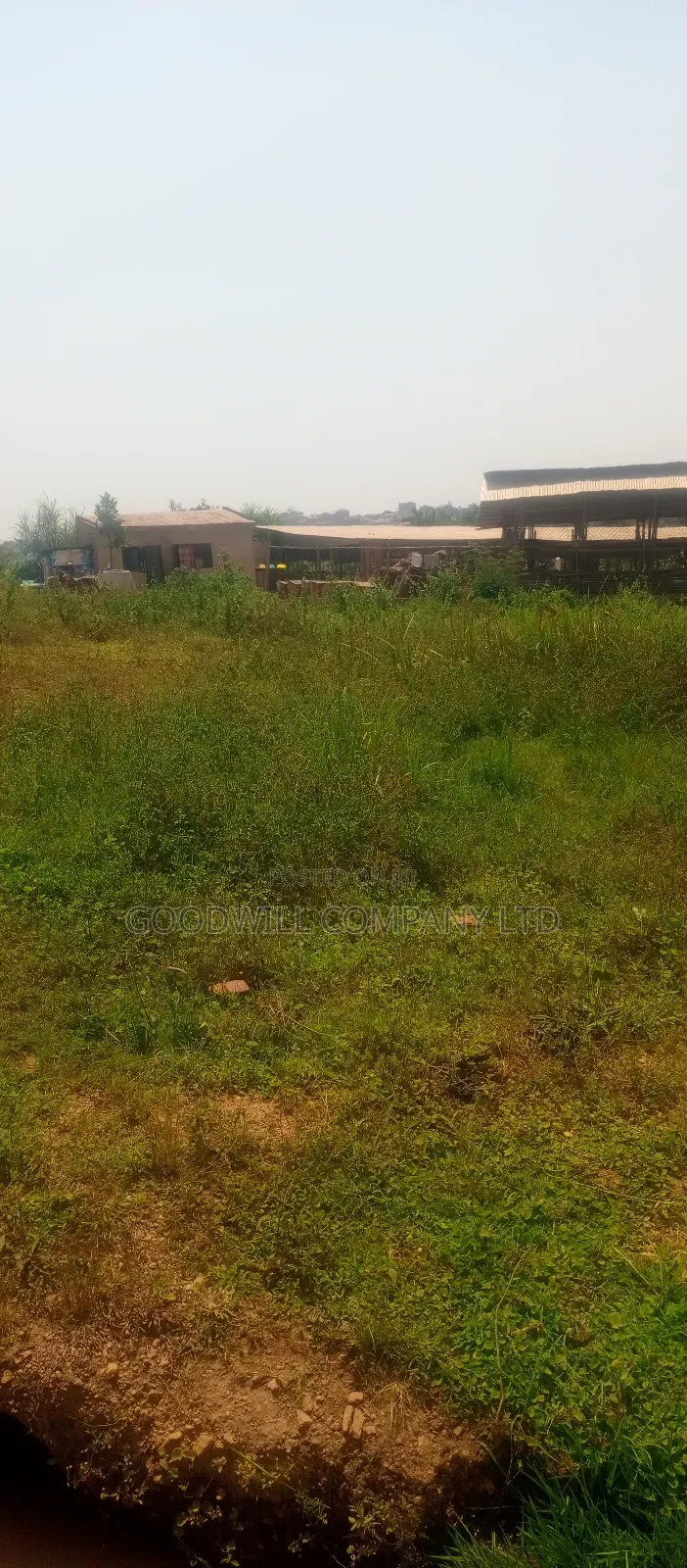 22 Decimals Plot of Land (Low Land) in Kira Bulindo in Central Division