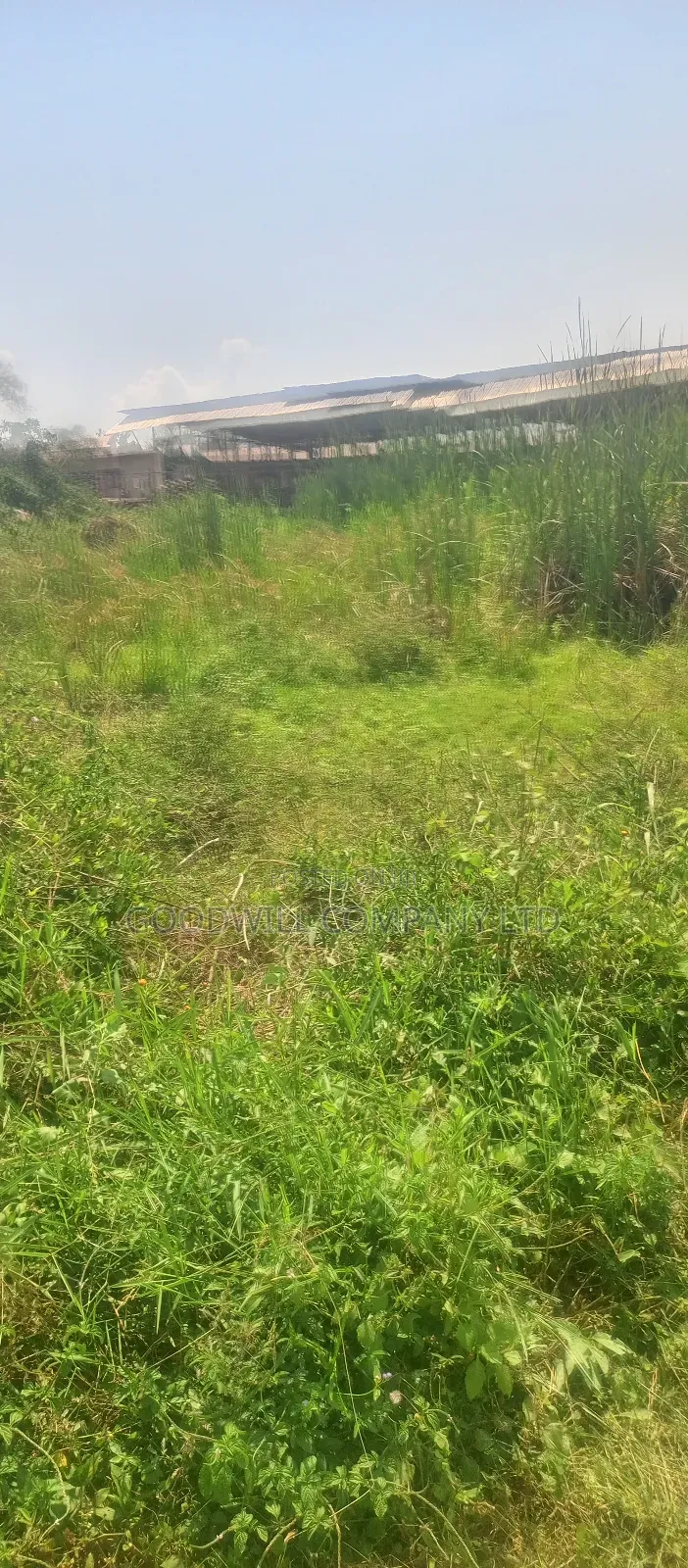 22 Decimals Plot of Land (Low Land) in Kira Bulindo in Central Division