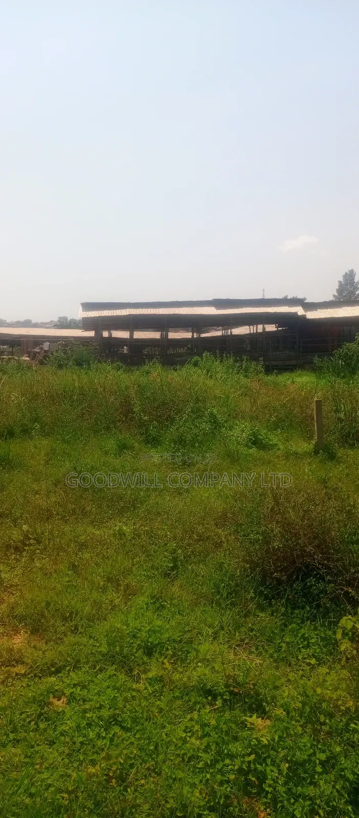 22 Decimals Plot of Land (Low Land) in Kira Bulindo in Central Division