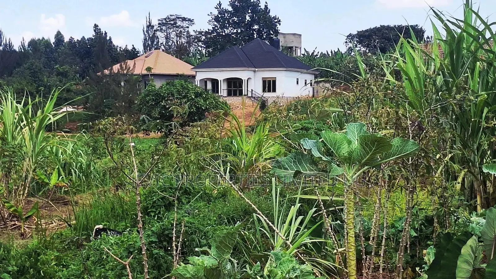 Quick Plot for Sale at Wakiso Namusera in Kakiri