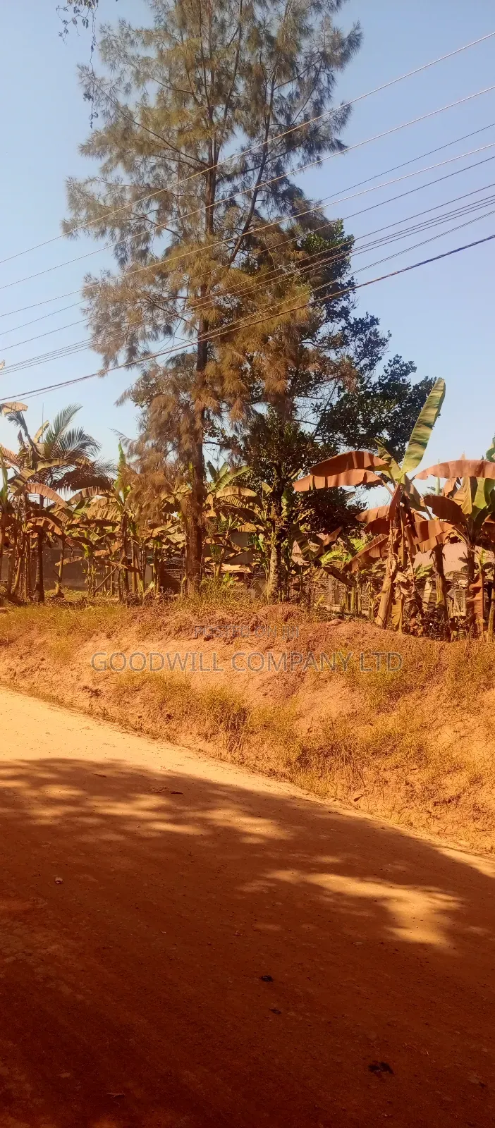85 Decimals Commercial Plot of Land in Kira Kito in Central Division