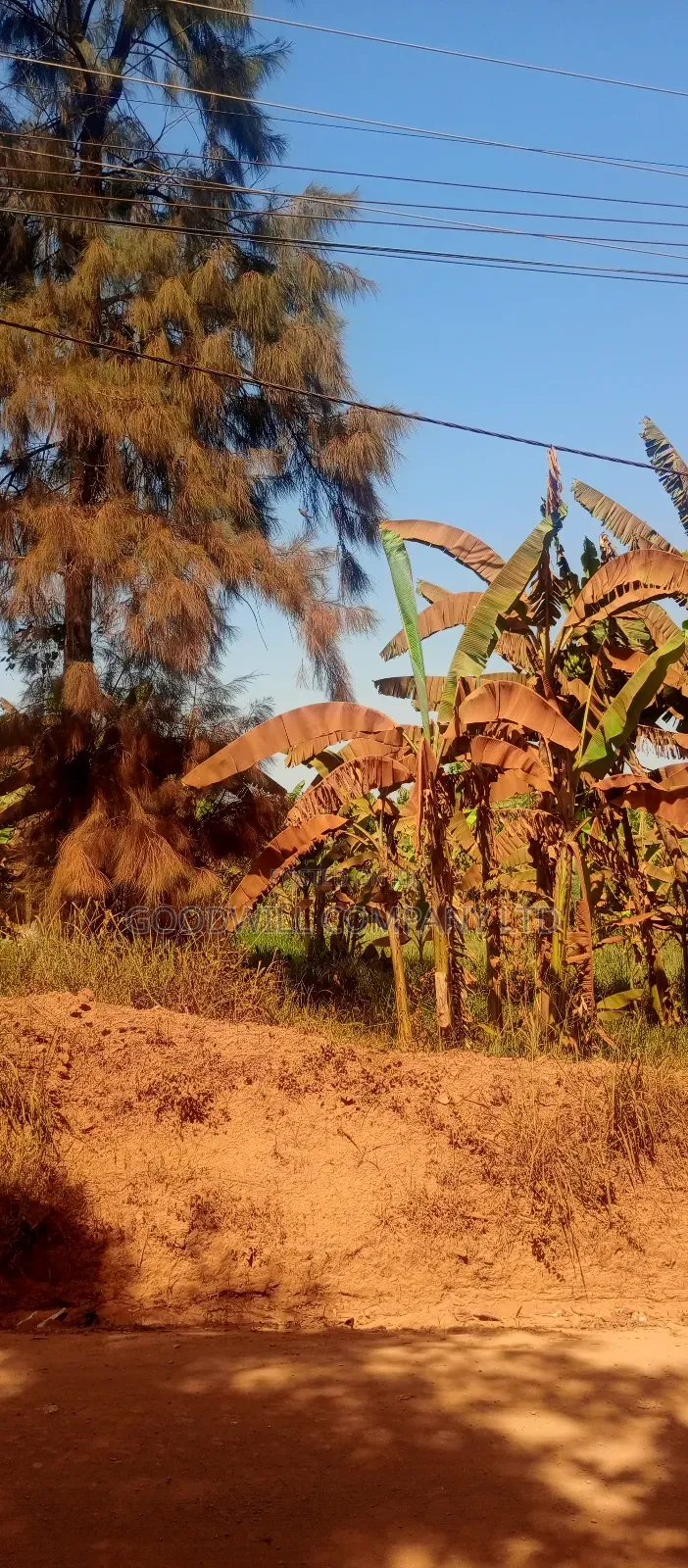 85 Decimals Commercial Plot of Land in Kira Kito in Central Division