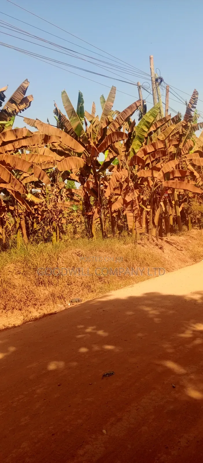 85 Decimals Commercial Plot of Land in Kira Kito in Central Division