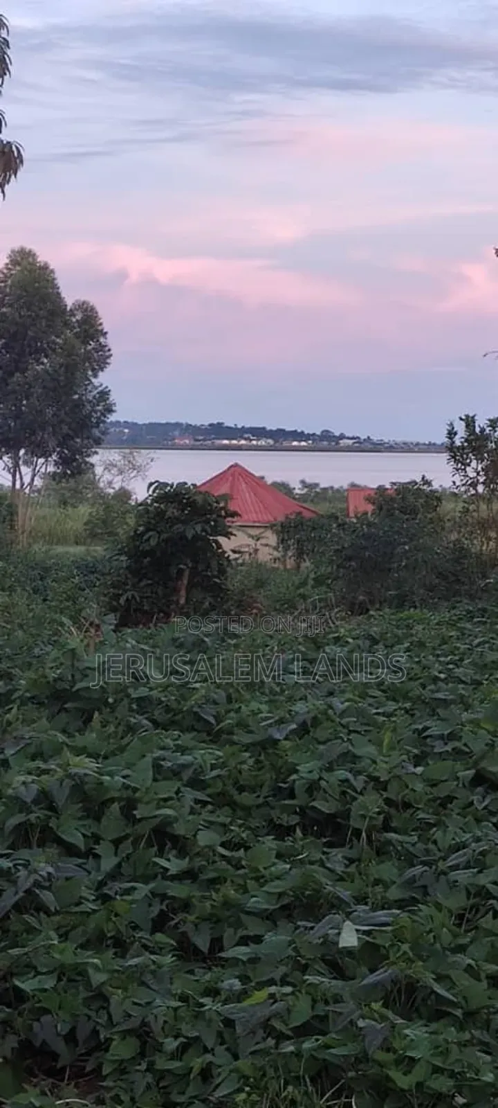 Entebbe Buwaya 300decimals at Only 90 Million)Ugx Each in Kasanje