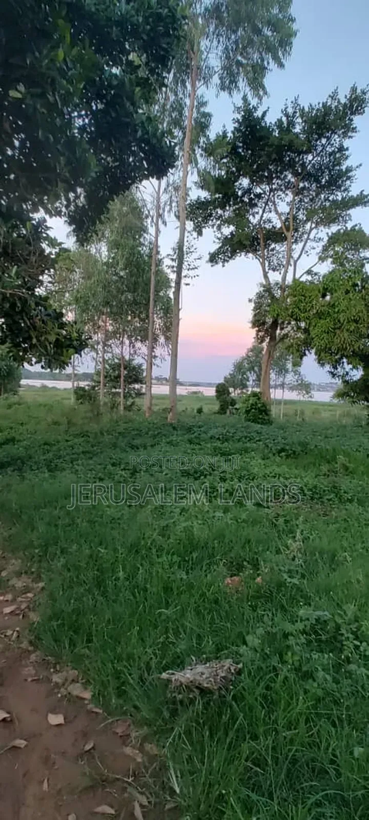 Entebbe Buwaya 300decimals at Only 90 Million)Ugx Each in Kasanje
