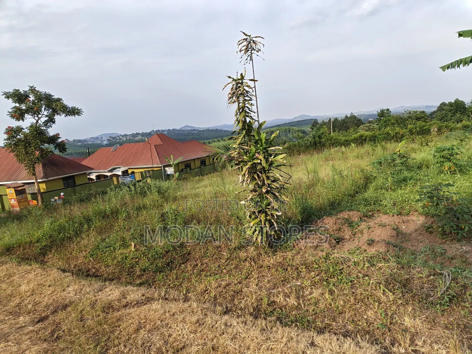 Titled Land at Jezza- Mityana Road in Muduma