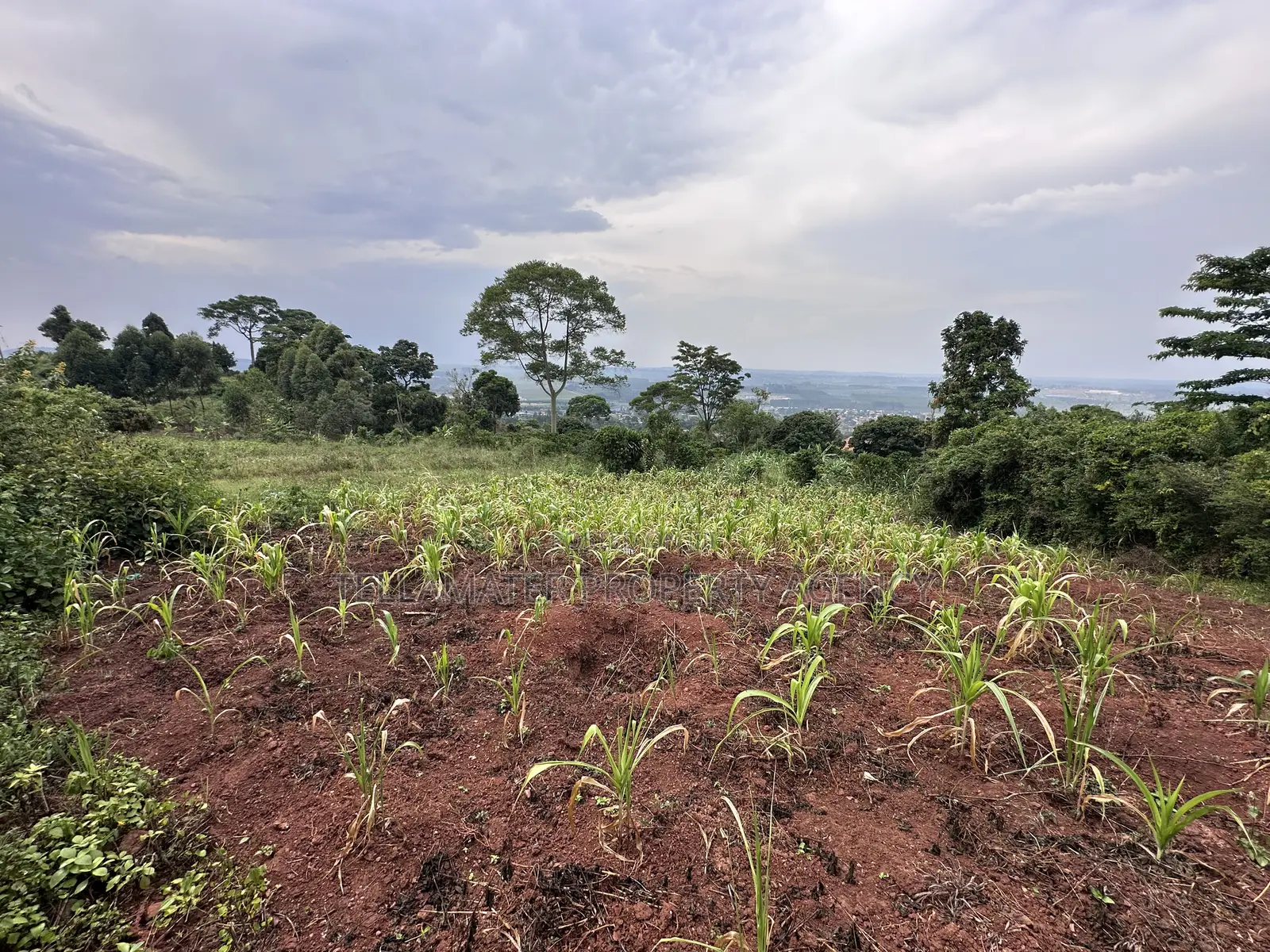 Private Mailo 50*100ft Plot With a Ready Title at Mbalala for Sale in Mukono TC