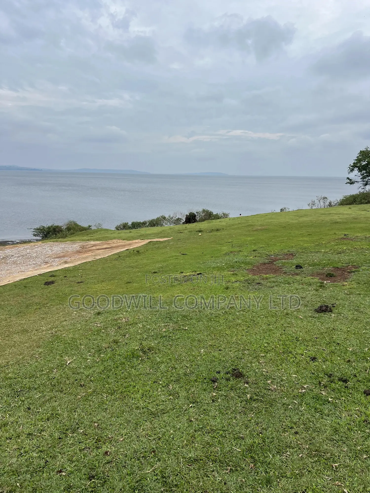 2 Acres of Land in Kihindi Nkokonjeru Touching on Lake Victoria in Central Division