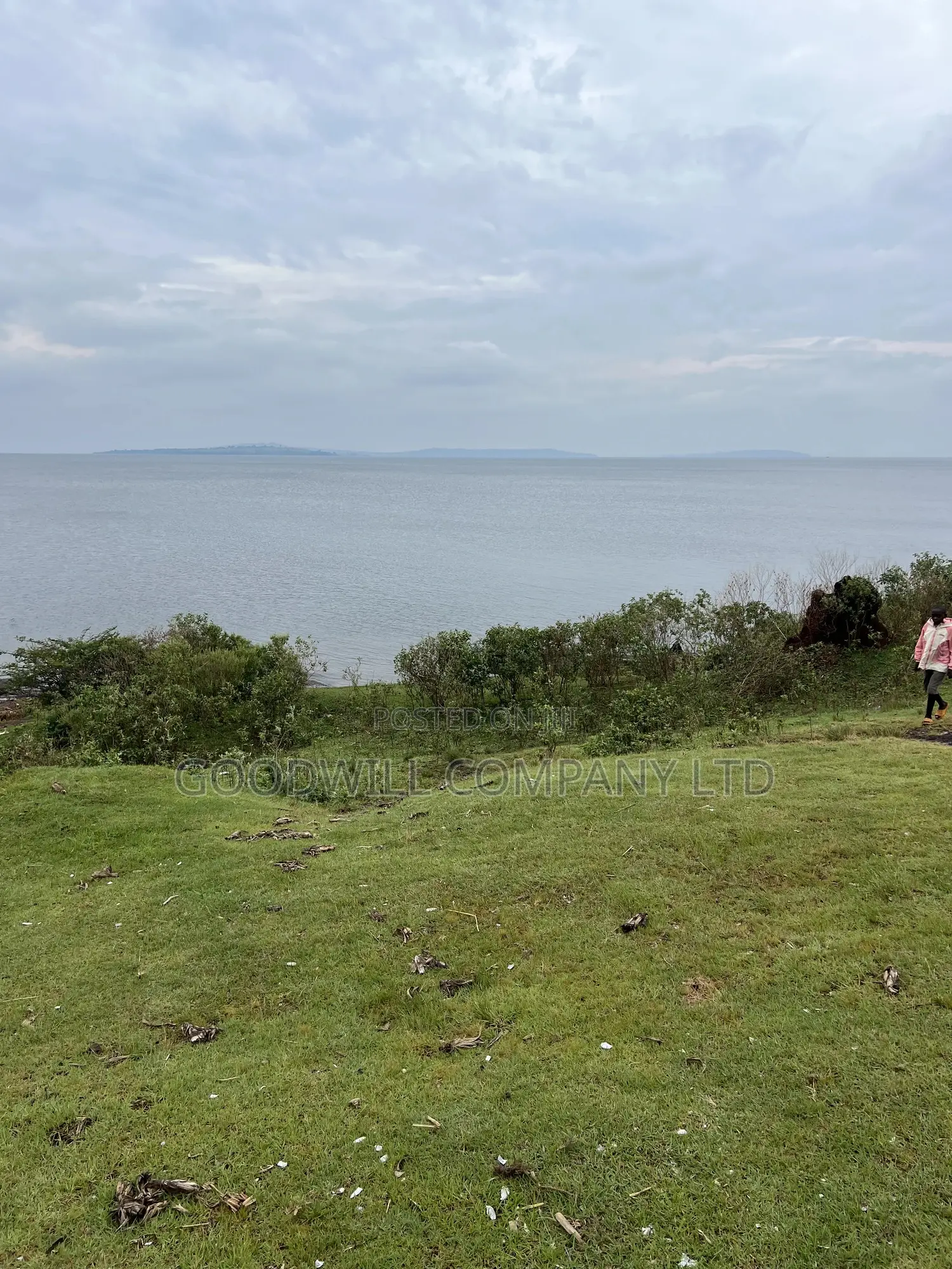 2 Acres of Land in Kihindi Nkokonjeru Touching on Lake Victoria in Central Division
