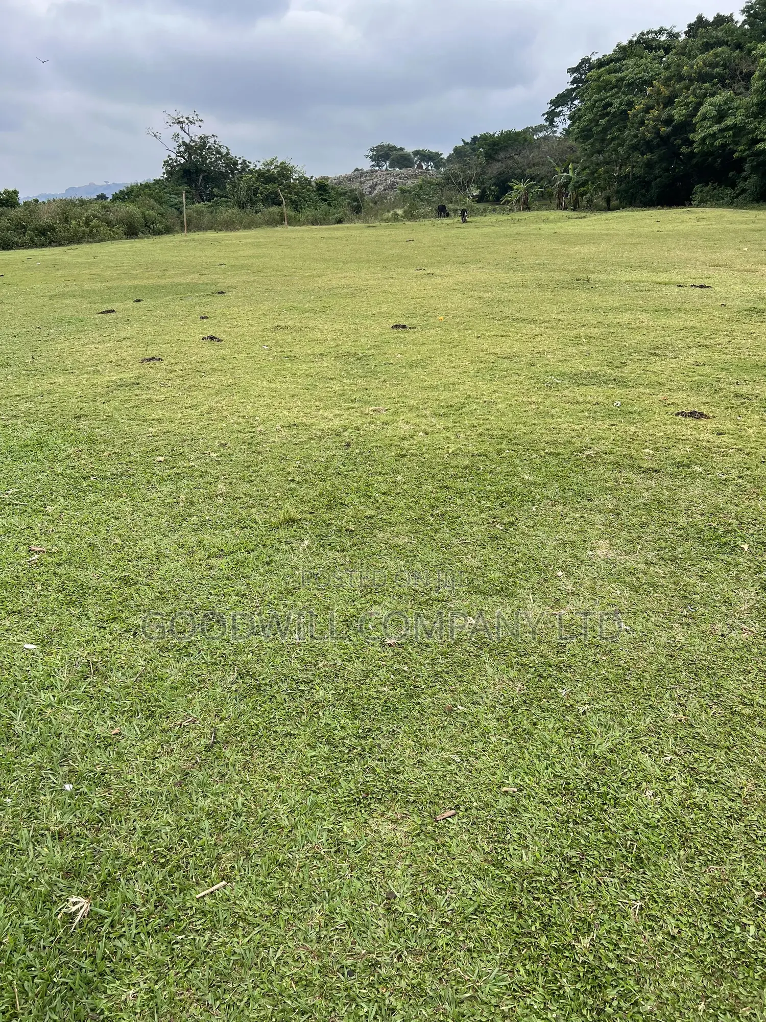 2 Acres of Land in Kihindi Nkokonjeru Touching on Lake Victoria in Central Division