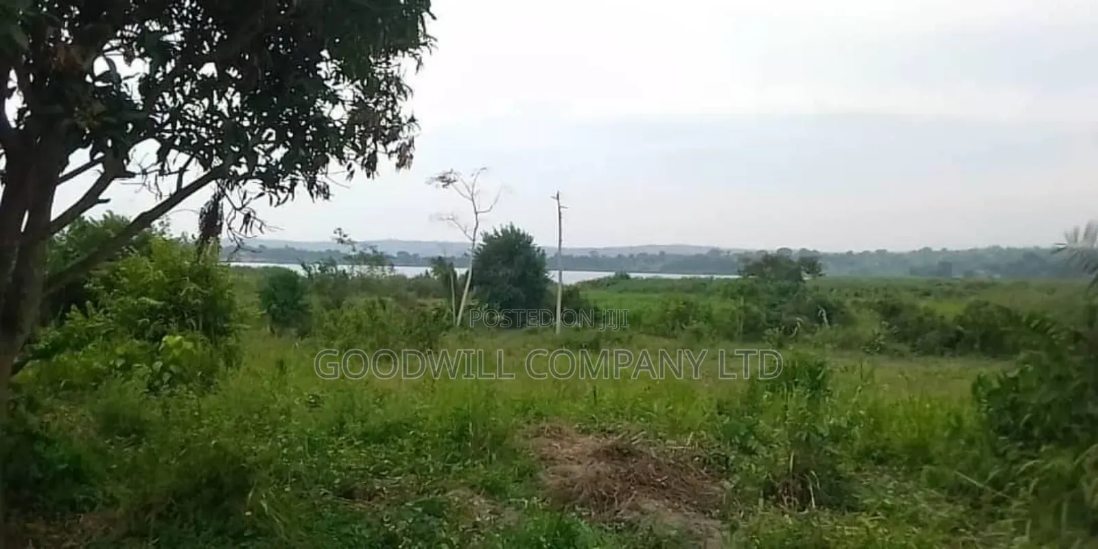 5 Acres to 50 Acres of Land on Lake in Buwoya Nkokonjeru Katosi Road in Central Division