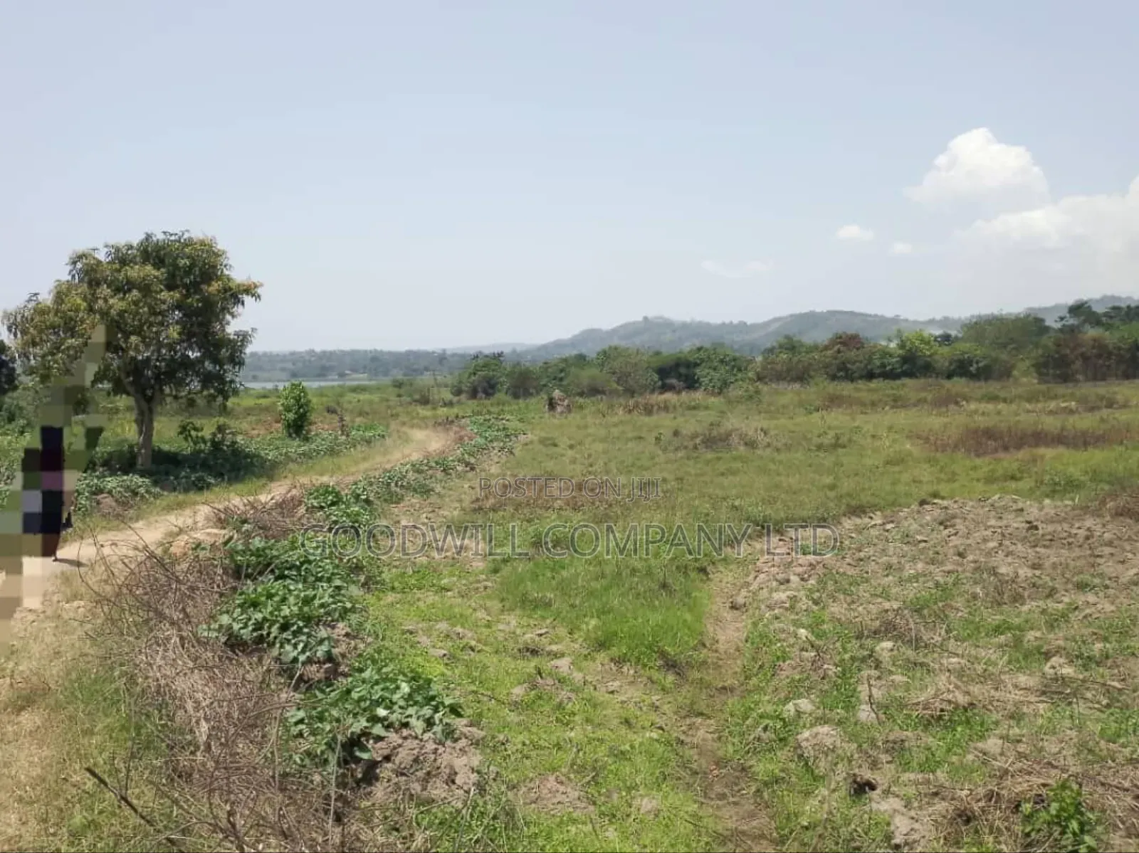 5 Acres to 50 Acres of Land on Lake in Buwoya Nkokonjeru Katosi Road in Central Division