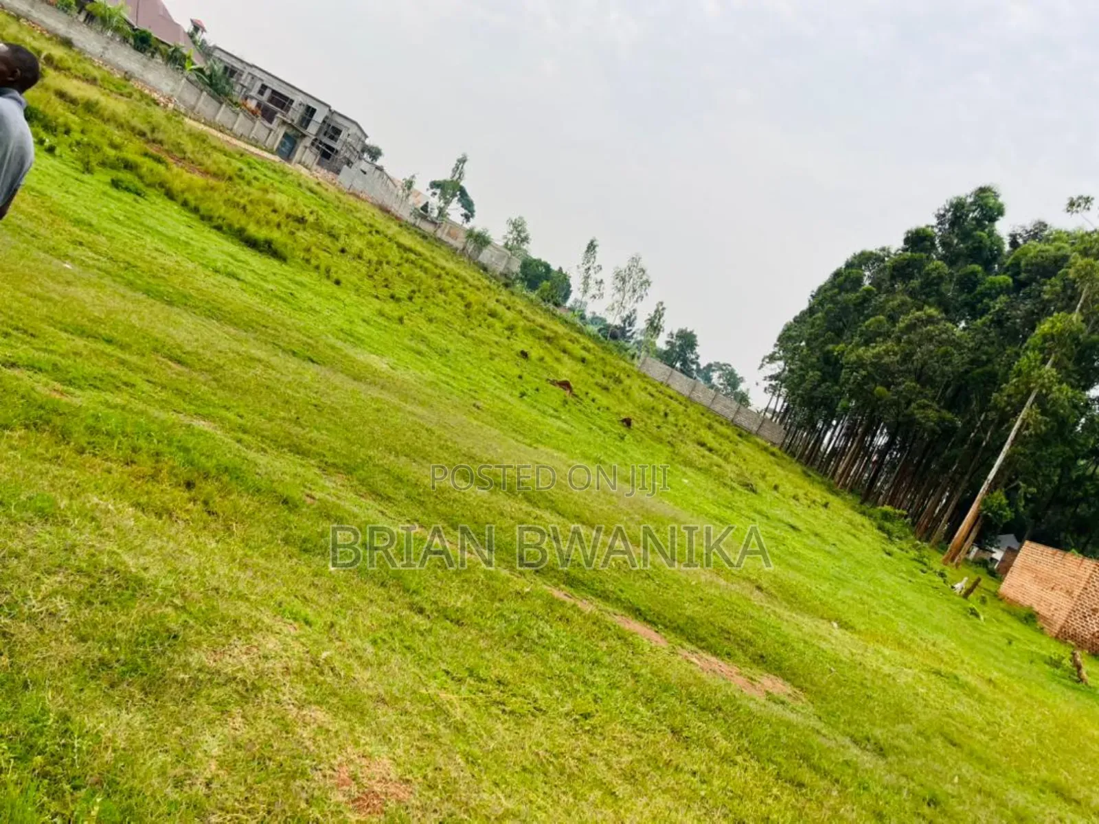 50*120 Titled Plot of Land in Nakwero Along Gayaza Road, 200m Away in Kira