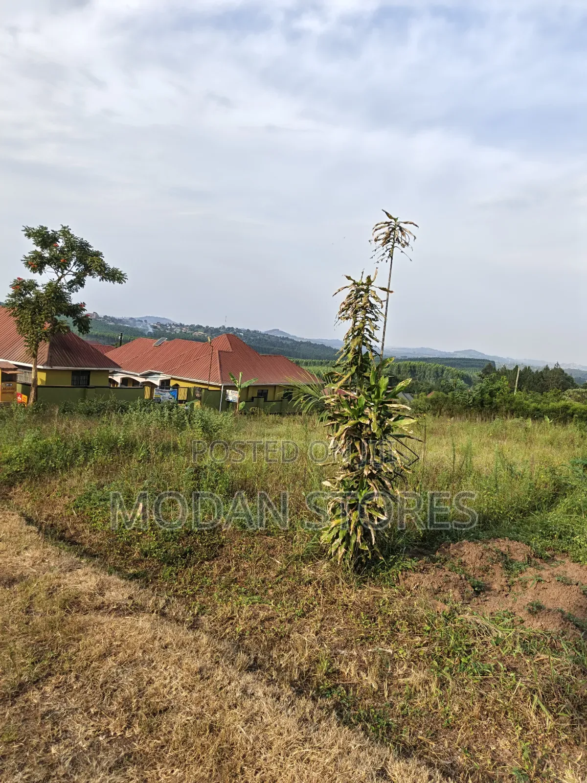 Titled Land at Jeza in Mpigi / Mpigi